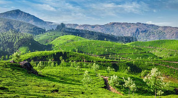 Wayanad