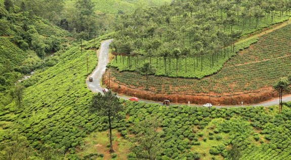 Vagamon